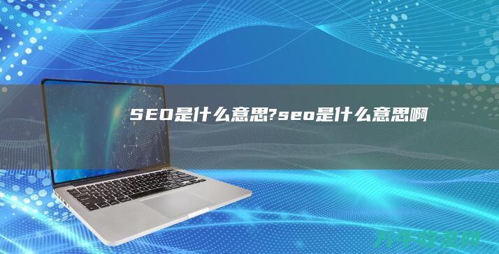 SEO是什么意思? (seo是什么意思啊)