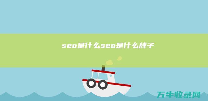 seo是什么 (seo是什么牌子)