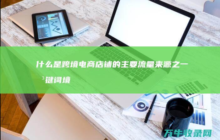 什么是跨境电商店铺的主要流量来源之一 关键词 境外的买家可以通过首页进行商品的筛选 品牌 属性 (什么是跨境电商试点城市)