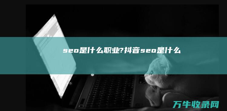 seo是什么职业? (抖音seo是什么)