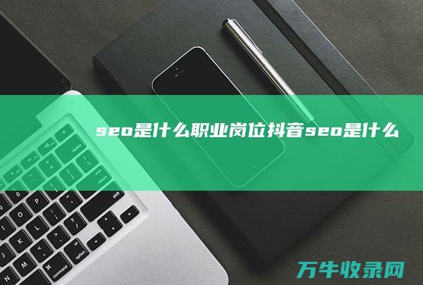 seo是什么职业岗位 (抖音seo是什么)