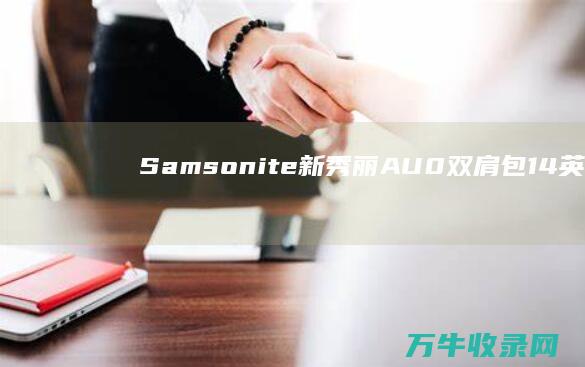 Samsonite新秀丽AU0双肩包14英寸海军蓝 (samson调节阀)